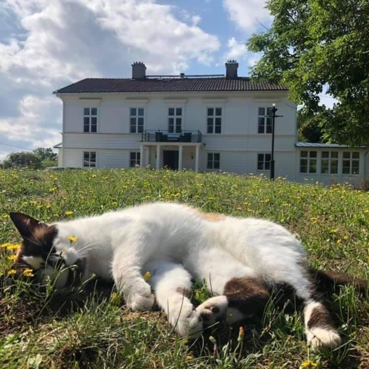 Amiralsgarden Verstorp Karlskrona Dış mekan fotoğraf