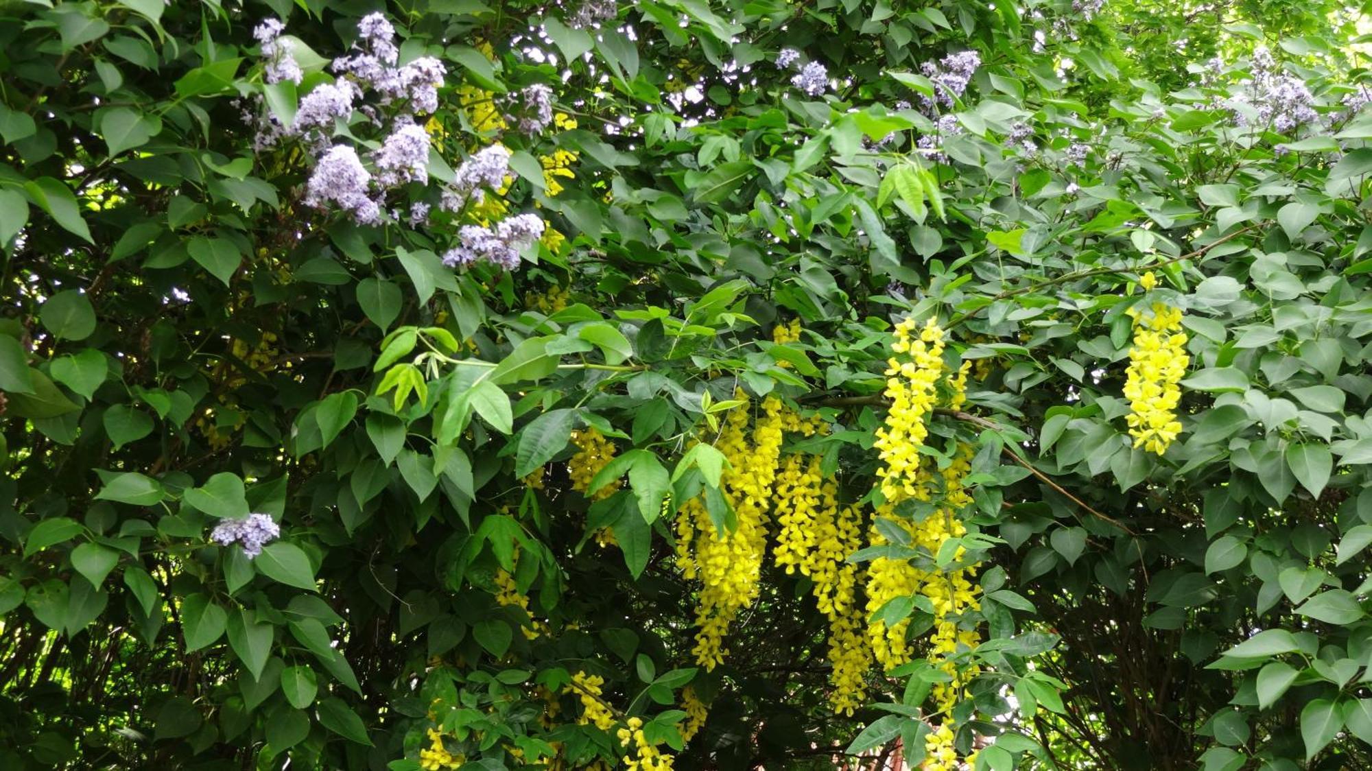 Amiralsgarden Verstorp Karlskrona Dış mekan fotoğraf